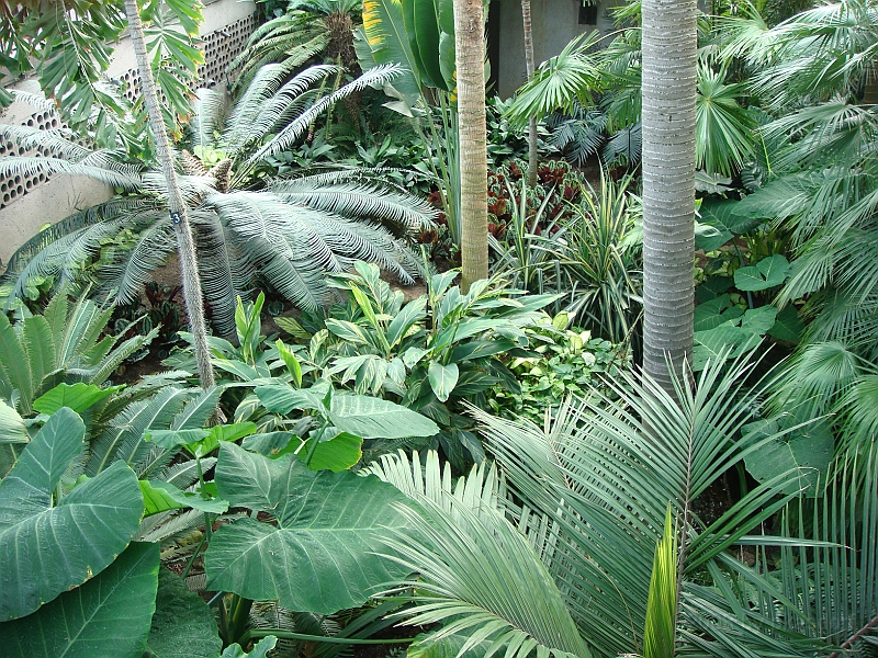 324 Longwood Gardens [2008 August 23].JPG - Longwood Gardens in Pennsylvania